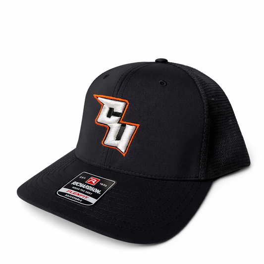 Customs Unlimited Logo Black Curve